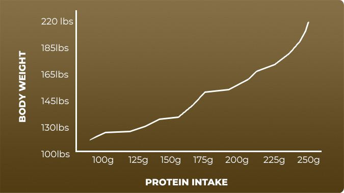 Chart showing daily protein requirements: 180lb man needs over 200g protein daily for muscle building