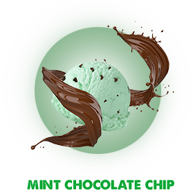 Mint Chocolate Chip