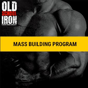 Old School Iron fitness program cover