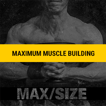MAX Size fitness program cover