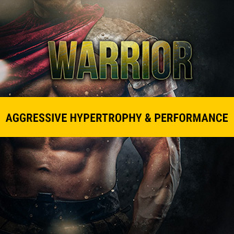 WARRIOR fitness program cover