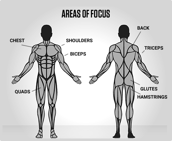 AREAS OF FOCUS