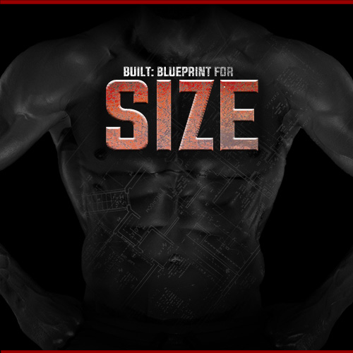 BUILT FOR SIZE