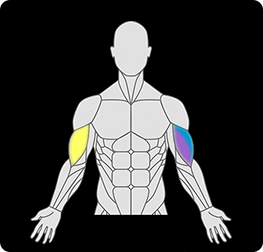 Custom Exercise Selection