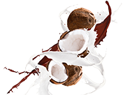 Chocolate Coconut flavor label