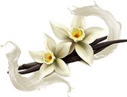 Vanilla Bean Vegan flavor label
